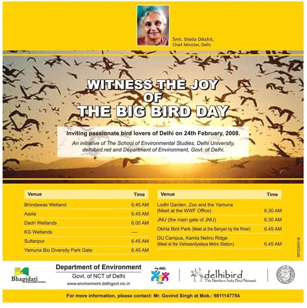 big-bird-day-ad