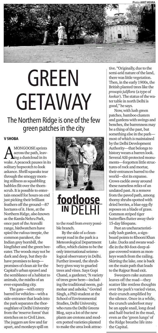 green-getaway-the-north-delhi-kamla-nehru-ridge