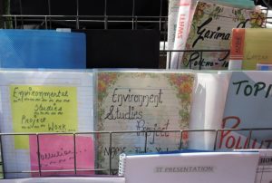promoting environmental education