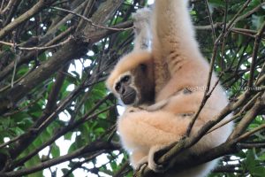 guwahati ecotourism